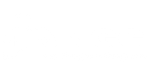 NGG-3.png